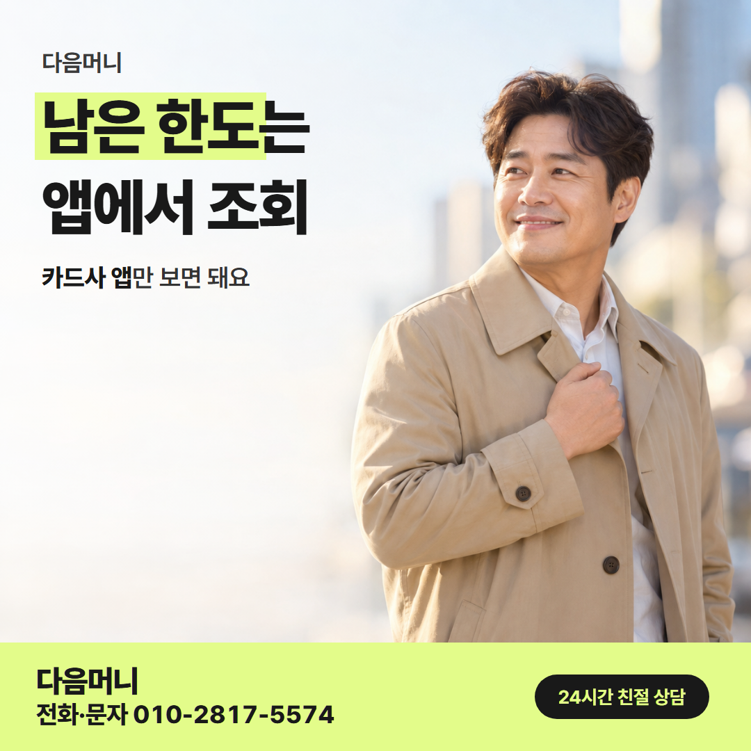 다음머니 카드깡 업체 후기 이용 가능 금액